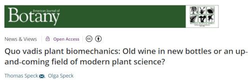 "Quo vadis plant biomechanics: Old wine in new bottles or an up-and-coming field of modern plant science?" paper in American journal of Botany journal