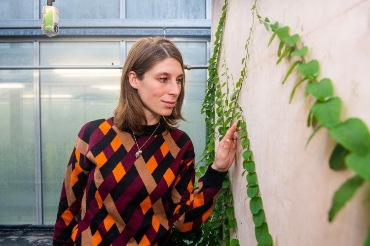 Frederike Klimm, GrowBot's researcher, looking at Passiflora discophora