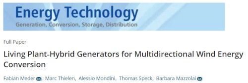 "Living Plant-Hybrid Generators for Multidirectional Wind Energy Conversion" paper in Energy Technology