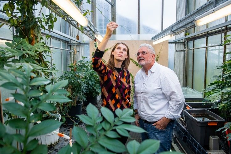 GrowBot's researchers in the research greenhouse of the Botanic Garden, Freiburg