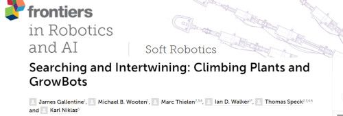 "Searching and Intertwining: Climbing Plants and GrowBots" paper in Frontiers in Robotics and AI journal