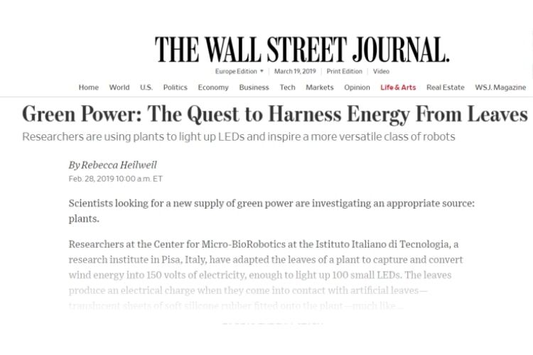 The Wall Street Journal dealing with GrowBot's research