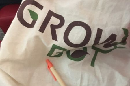 GrowBot bag and pen