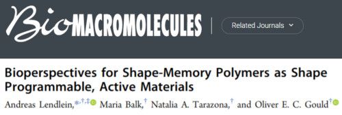 "Bioperspectives for Shape-Memory Polymers as Shape Programmable, Active Materials" in Biomacromolecules journal